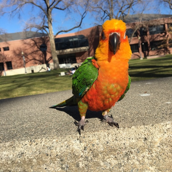 Meet your Poshers, Tara & Pete - Picture 3 of 8